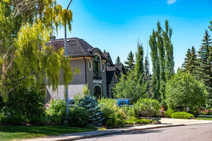 A residential street in Hounsfield Heights/Briar Hill